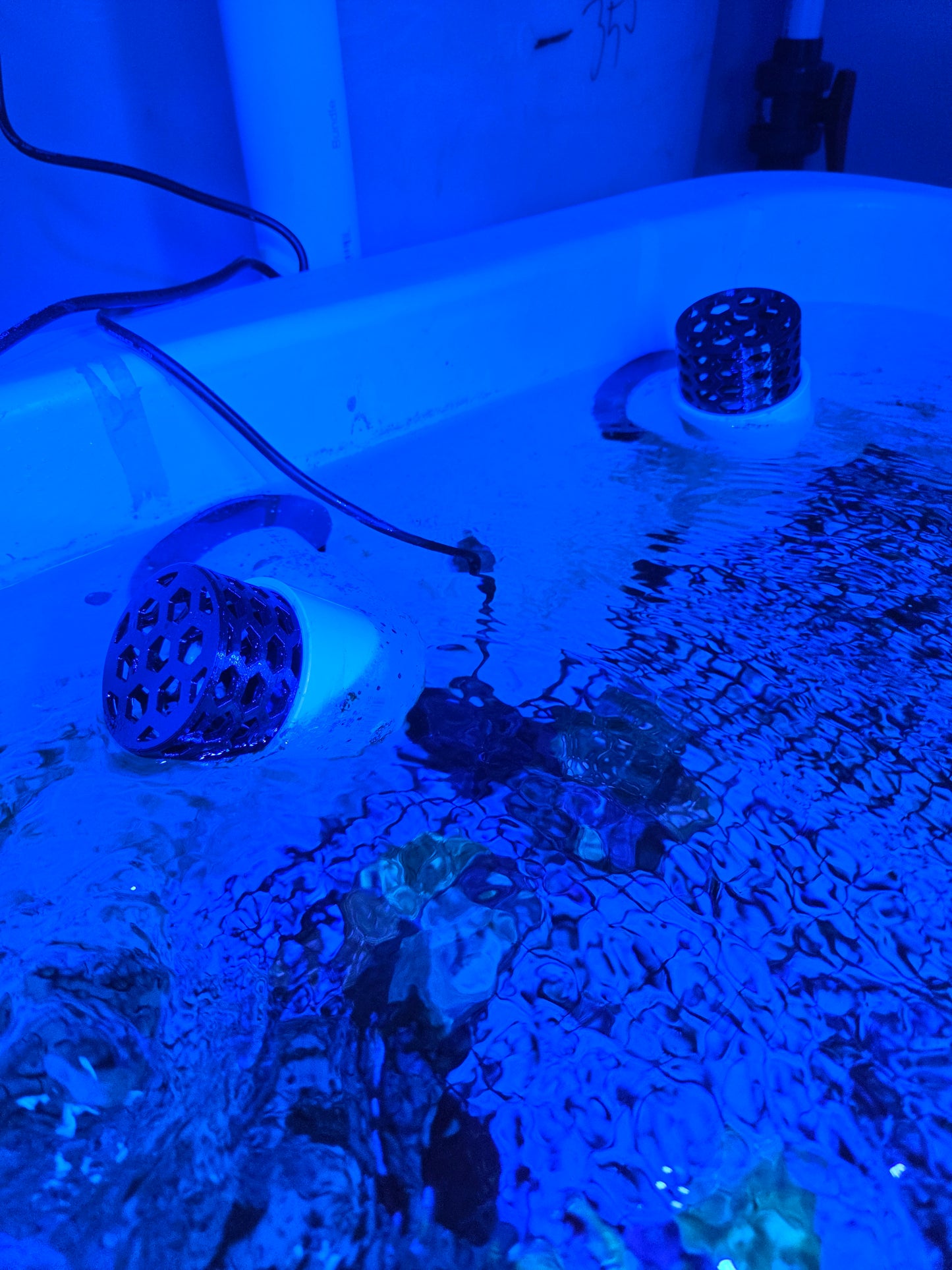 Reef Tank Drain Strainers