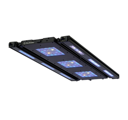 Meridian 35 Edge Bar Bundle