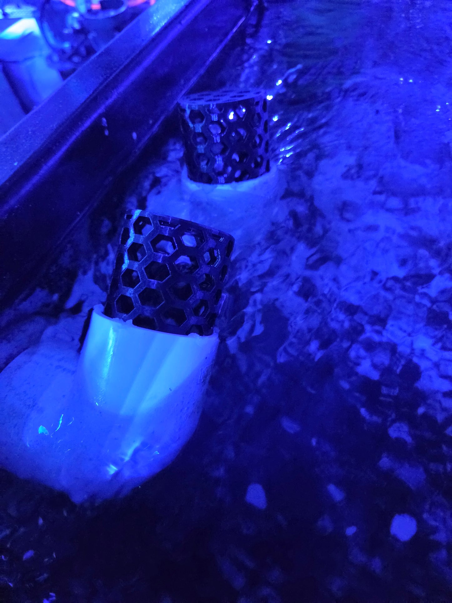 Reef Tank Drain Strainers